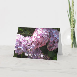 Hydrangea Birthday Greeting Karte