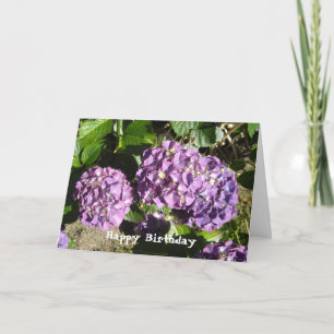Hydrangea Birthday Greeting Karte