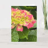 Hydrangea Blank Note Card (Vorderseite)