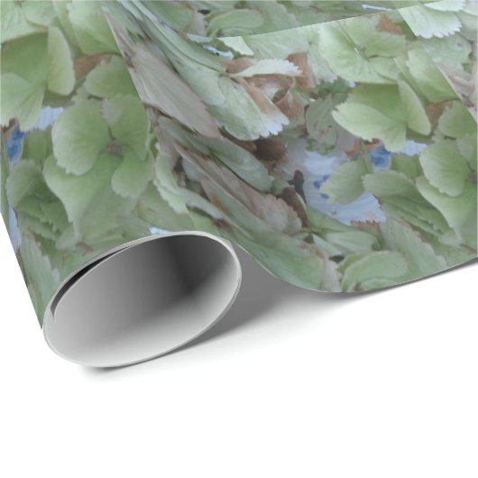 Hydrangea-Blätter Geschenkpapier (Rolleneckpunkt)