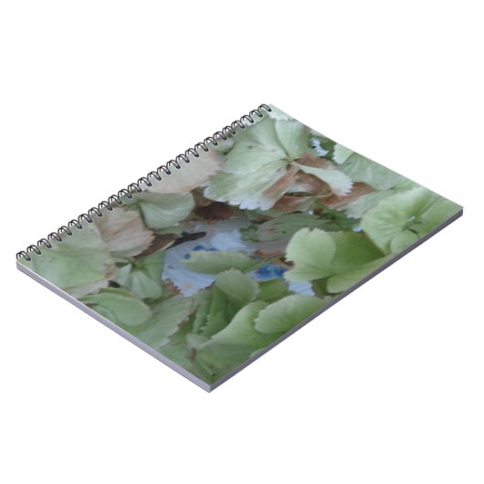 Hydrangea-Blätter Notizblock (Linke Seite)