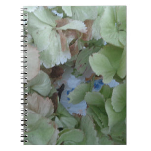 Hydrangea-Blätter Notizblock