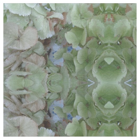 Hydrangea-Blätter, Stoffe (Nahaufnahme)