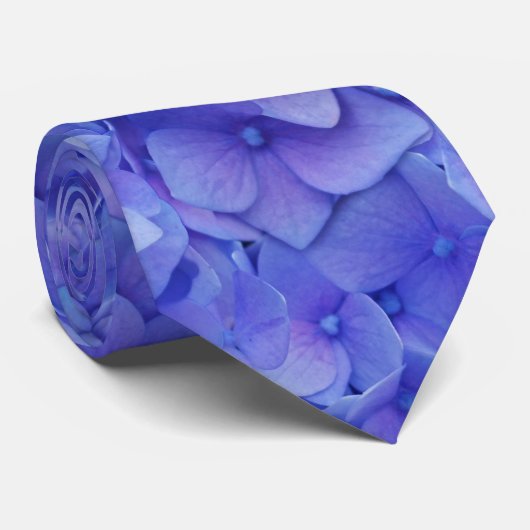 Hydrangea blau krawatte (Gerollt)