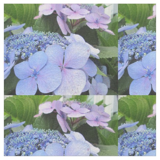 Hydrangea-blaue lila hübsche Blume Stoff (Nahaufnahme)