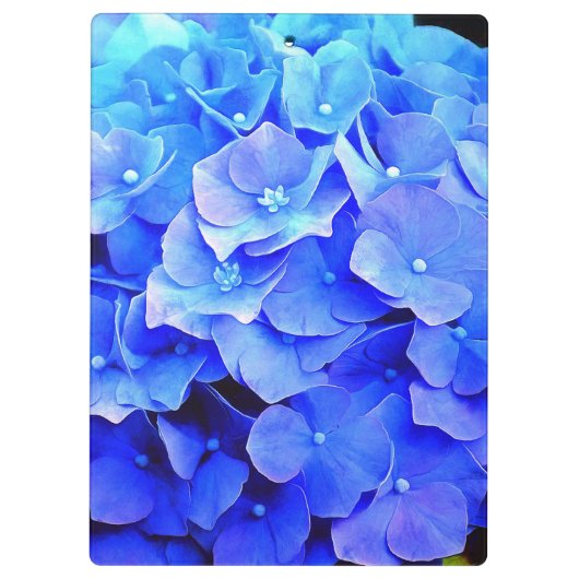 Hydrangea-Blues Klemmbrett (Rückseite)