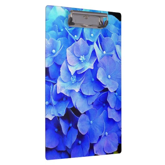 Hydrangea-Blues Klemmbrett (Rechts)