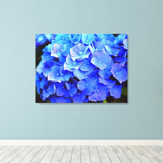 Hydrangea-Blues Leinwanddruck (Insitu (Holzboden))