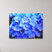 Hydrangea-Blues Leinwanddruck (Vorderseite)