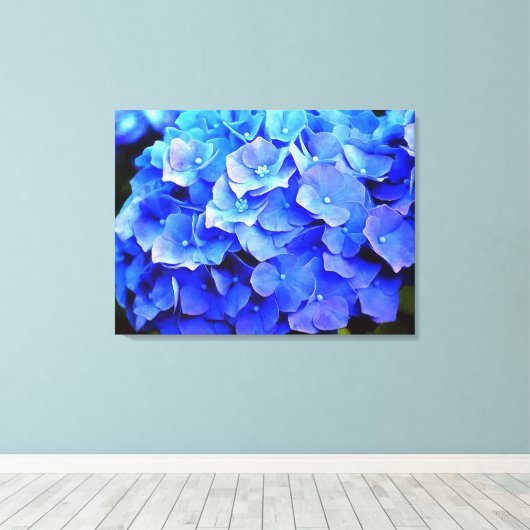 Hydrangea-Blues Leinwanddruck (Insitu (Holzboden))