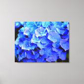 Hydrangea-Blues Leinwanddruck (Vorderseite)