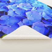 Hydrangea-Blues Sherpadecke (3/4)