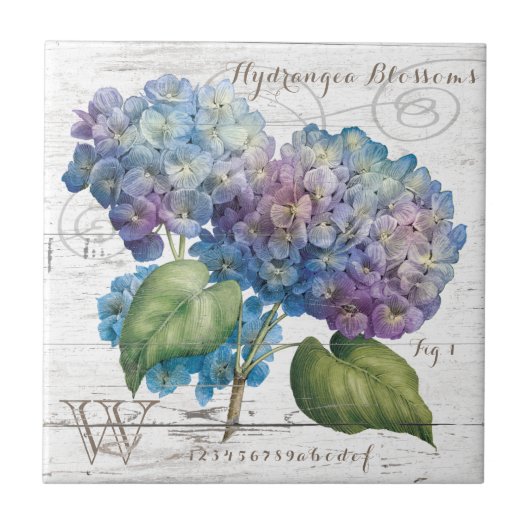 Hydrangea blüht Monogramm Fliese (Vorderseite)