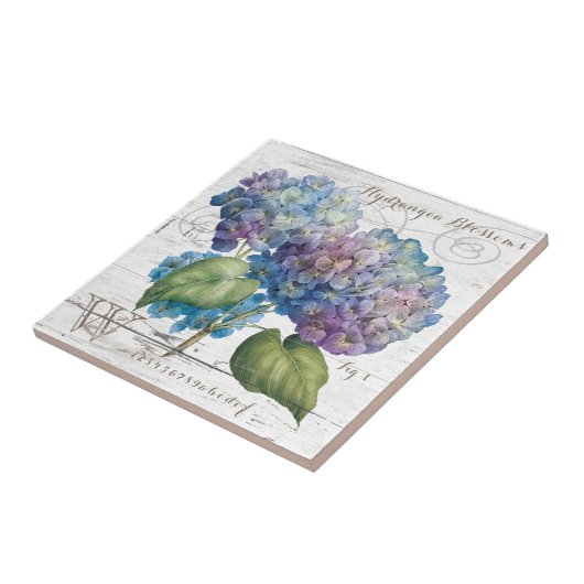 Hydrangea blüht Monogramm Fliese (Seite)