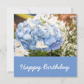 Hydrangea Blume Blauer Hintergrund Geburtstag Karte (Vorderseite)