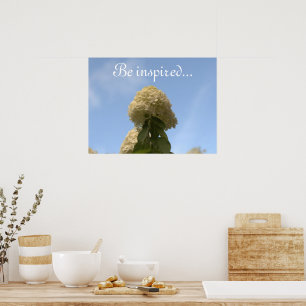 Hydrangea Blume Blue Sky Poster