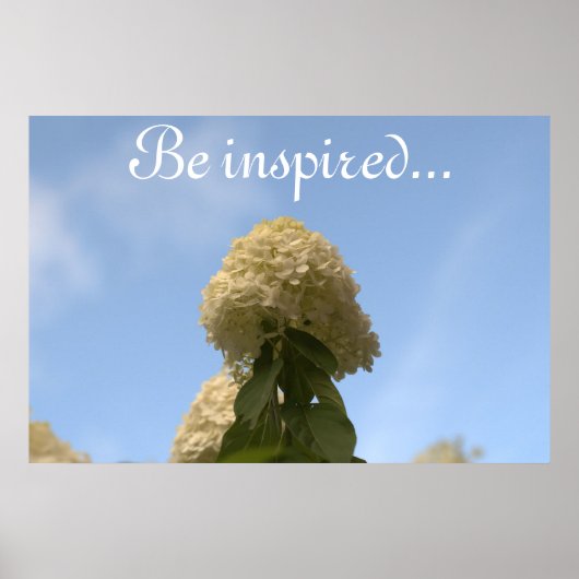 Hydrangea Blume Blue Sky Poster (Vorne)
