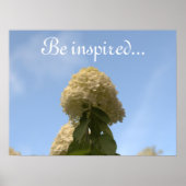 Hydrangea Blume Blue Sky Poster (Vorne)
