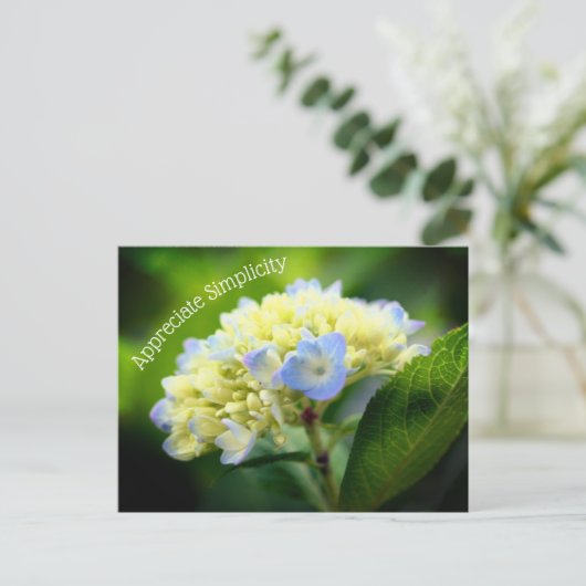Hydrangea Blume Einfachheit Inspiration Postkarte (Stehend Vorderseite)