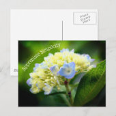 Hydrangea Blume Einfachheit Inspiration Postkarte (Vorne/Hinten)