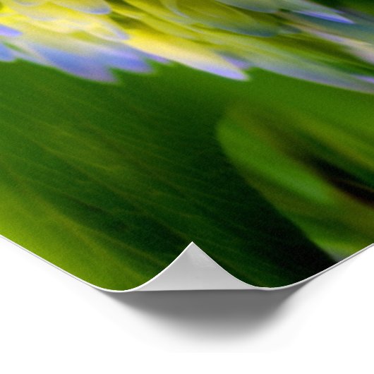 Hydrangea Blume Fantasy Floral Abstrakt Poster (Ecke)