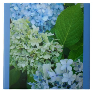 Hydrangea-Blume Fliese