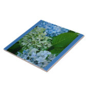 Hydrangea-Blume Fliese (Seite)