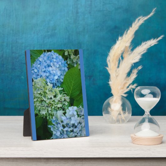 Hydrangea-Blume Fotoplatte (Seite)