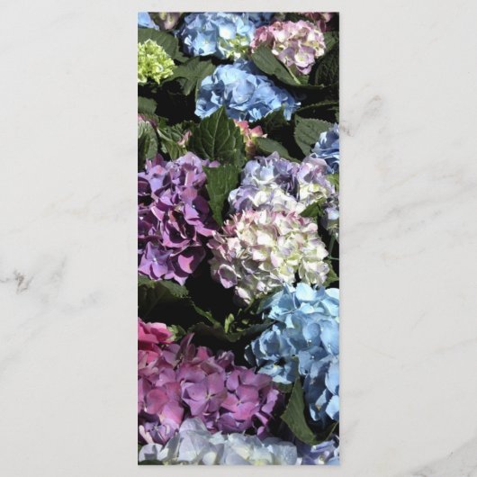 Hydrangea Blume Frame Wedding Program Programm (Rückseite)