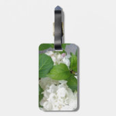 Hydrangea Blume Grüner Garten Pflanze Gepäckanhänger (Rückseite vertikal)