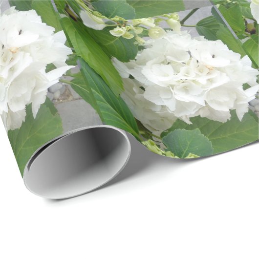 Hydrangea Blume Grüner Garten Pflanze Geschenkpapier (Rolleneckpunkt)