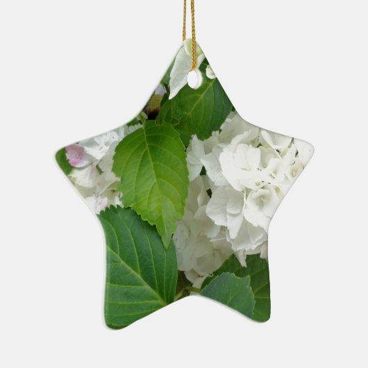 Hydrangea Blume Grüner Garten Pflanze Keramik Ornament (Rechts)