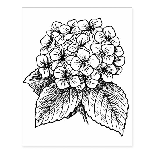 Hydrangea-Blume Gummistempel (Prägung)