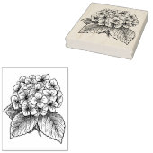 Hydrangea-Blume Gummistempel (Stempel)