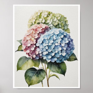 Hydrangea-Blume Handgemachte Poster Wasserfarbe