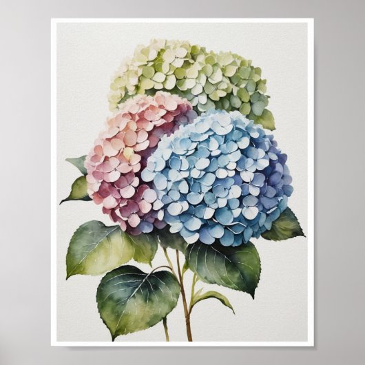 Hydrangea-Blume Handgemachte Poster Wasserfarbe (Vorne)