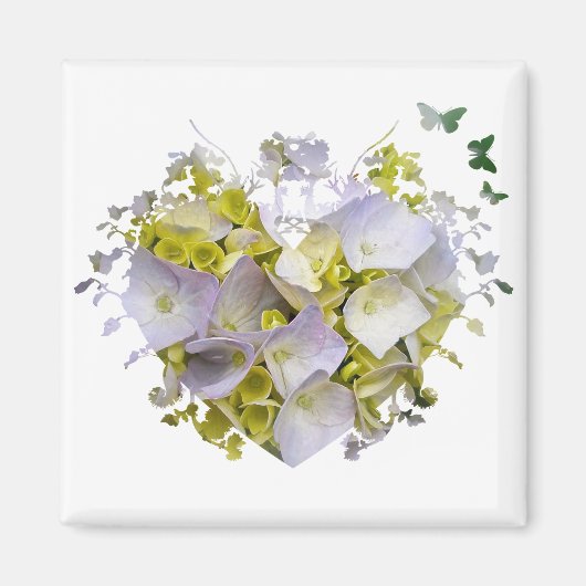 Hydrangea-Blume im Herzen Magnet (Vorne)