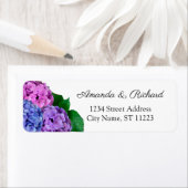 Hydrangea-Blume in Blau und Rosa (Insitu)