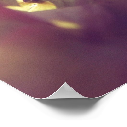 Hydrangea-Blume in Sunlight Lila Bokeh Poster (Ecke)