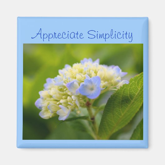 Hydrangea-Blume Inspiration-Einfachheit-Magnet Magnet (Vorne)