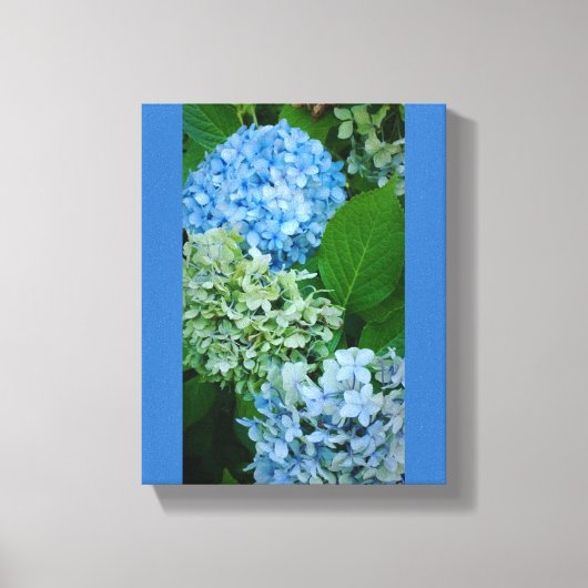 Hydrangea-Blume Leinwanddruck (Vorderseite)