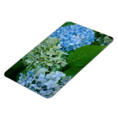 Hydrangea-Blume Magnet (Linke Seite)