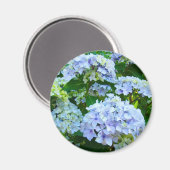 Hydrangea Blume Magnet Geschenke Blue Green Garden (Vorderseite/Rückseite)