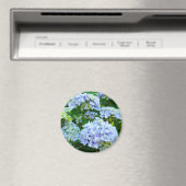 Hydrangea Blume Magnet Geschenke Blue Green Garden (In Situ (Geschirrspüler))