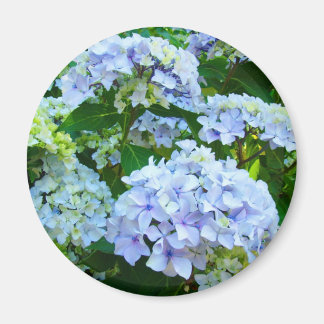 Hydrangea Blume Magnet Geschenke Blue Green Garden