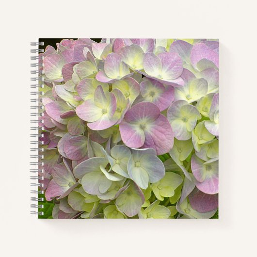 Hydrangea-Blume Notizblock (Vorderseite)
