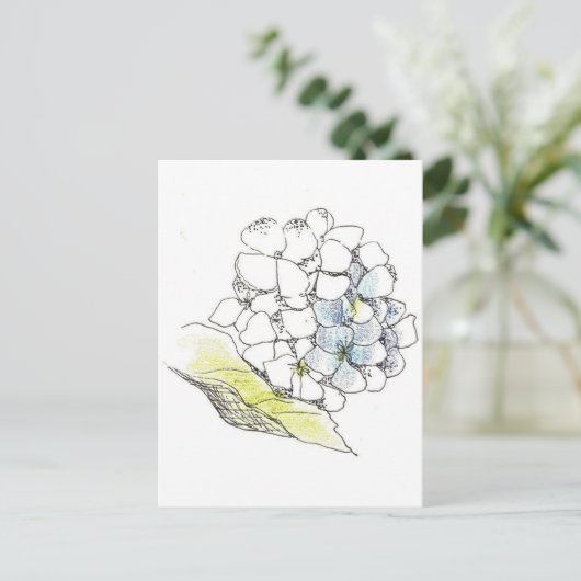 Hydrangea Blume Pen und Tinte Zeichnend Postkarte (Stehend Vorderseite)