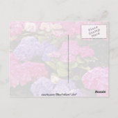 Hydrangea-Blume Postkarte (Rückseite)