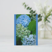 Hydrangea-Blume Postkarte (Stehend Vorderseite)