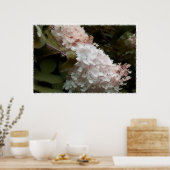 Hydrangea-Blume Rosa Fotografie Poster (Küche)